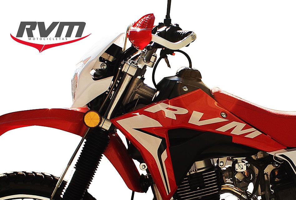 Detalle de CZ 250 L