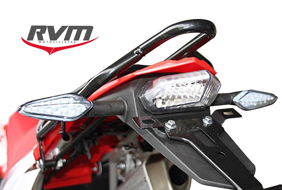 Detalle de CZ 250 L